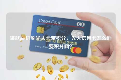 哪款pos机刷光大卡带积分，光大信用卡怎么消费积分啊？