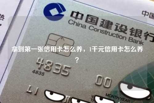 拿到第一张信用卡怎么养，1千元信用卡怎么养？
